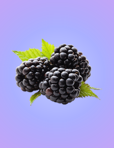 Blackberry