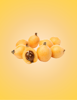 Loquat