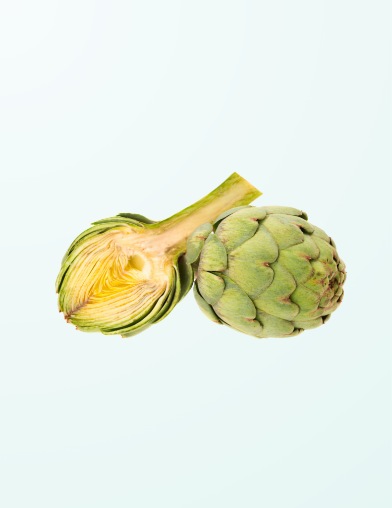 Artichoke